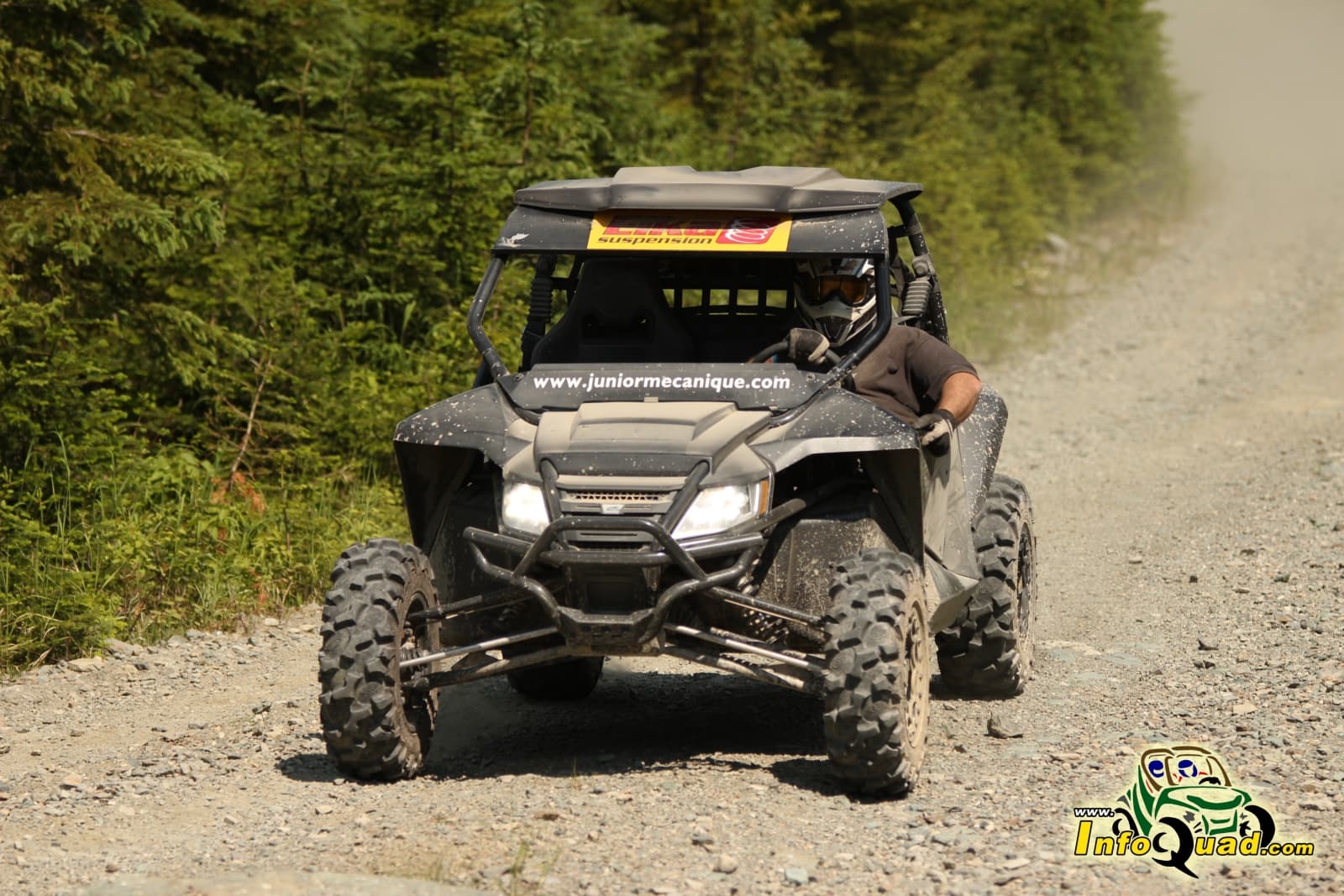 Le Wildcat X Limited du plaisir à l’état de pur