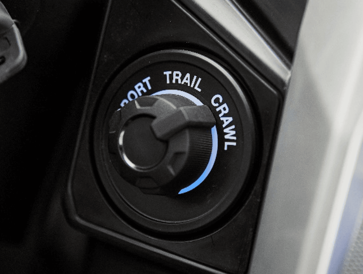 Essai du Wolverine RMax 2 1000 SE 2021