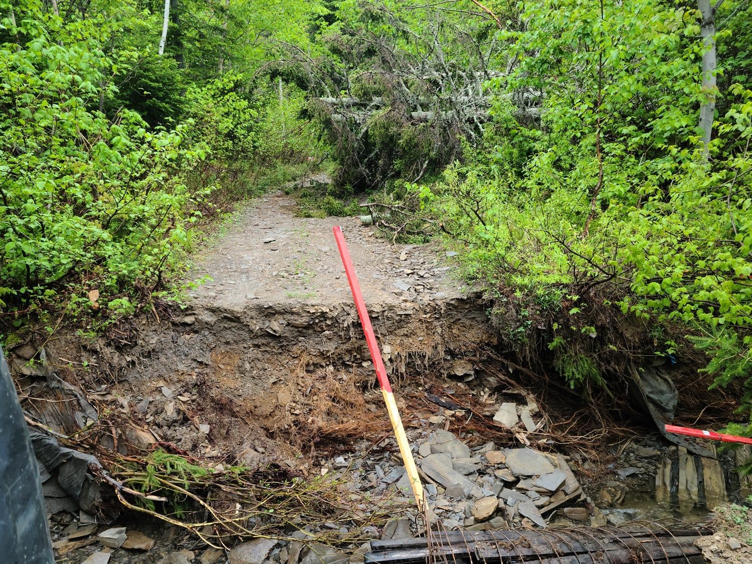 Tour de la Gaspésie en quad 2023 — Jour 5