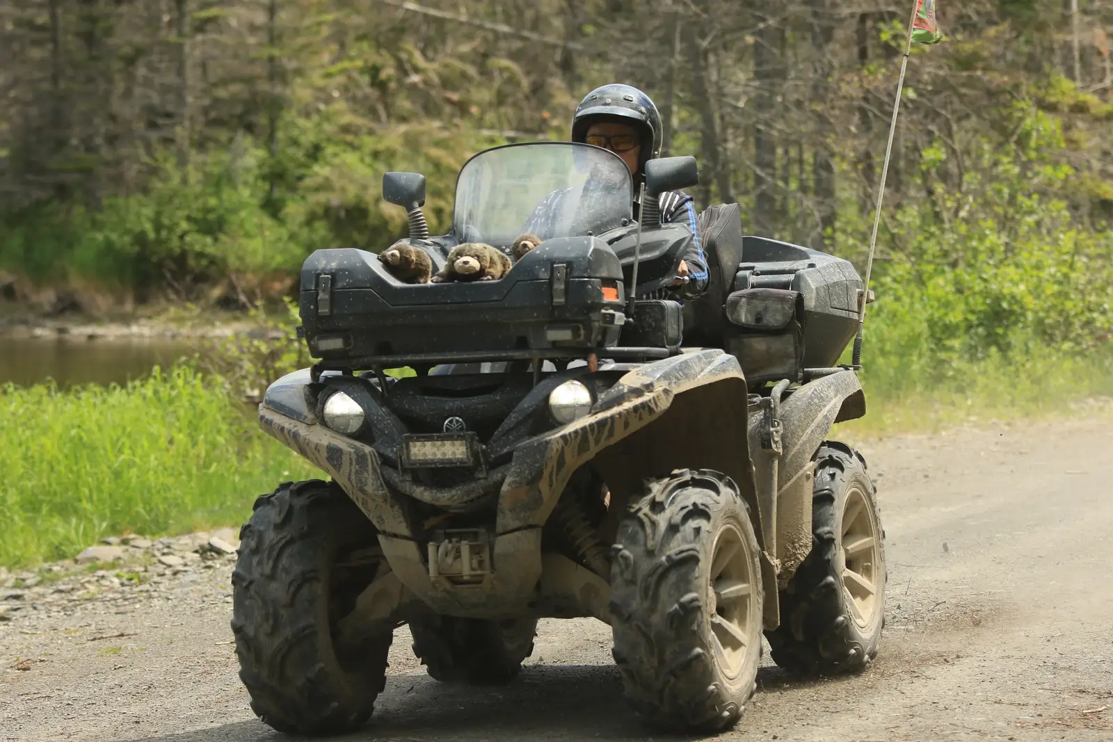 Quads and Basic Warranty: A Troubling Gap for Buyers?