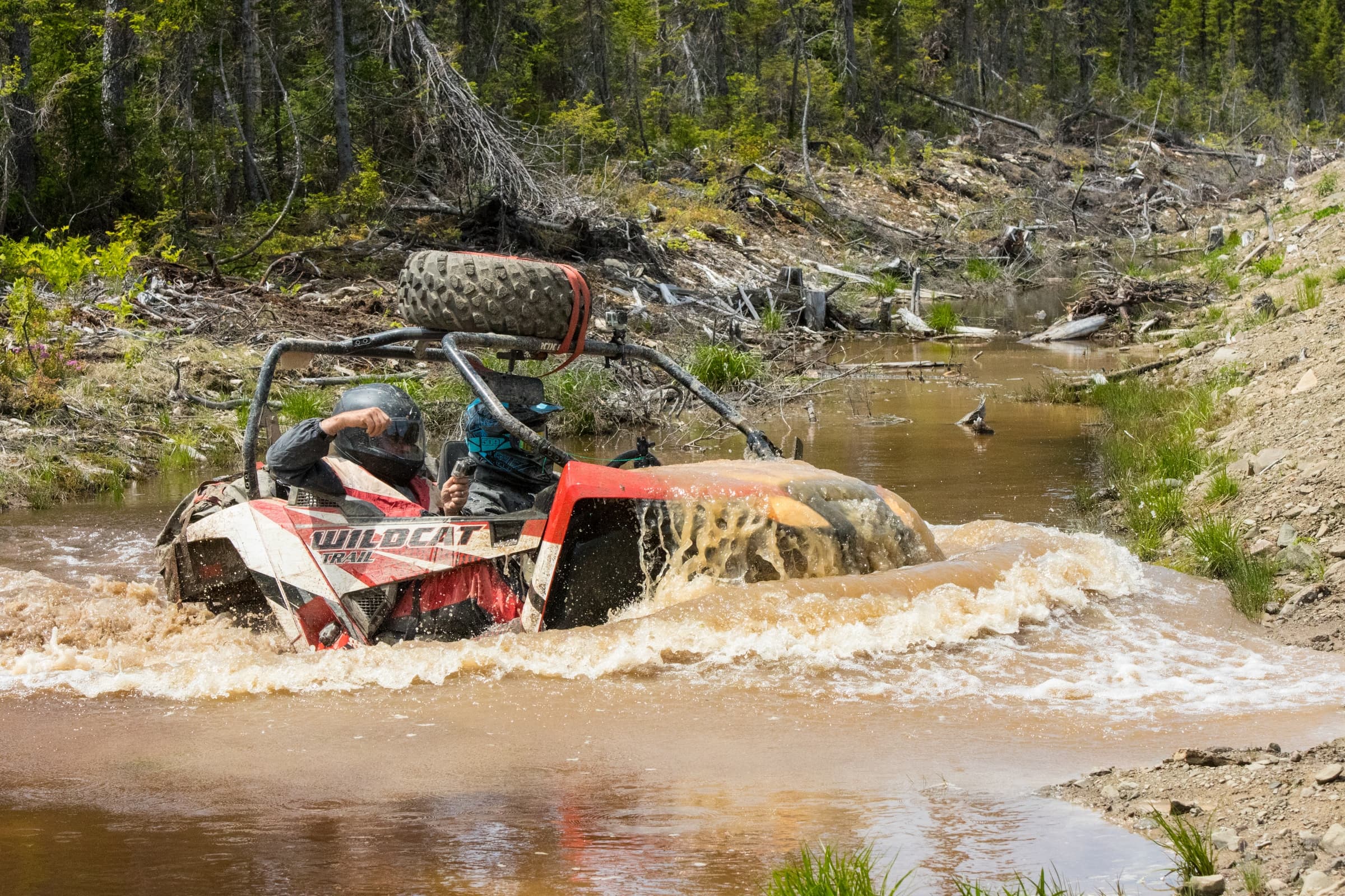 InfoQuad.com en Gaspésie|InfoQuad.com en Gaspésie|InfoQuad.com en Gaspésie|InfoQuad.com en Gaspésie|InfoQuad.com en Gaspésie|InfoQuad.com en Gaspésie