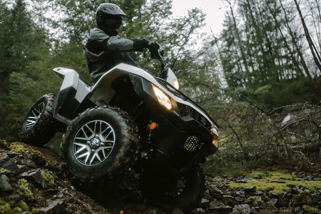 Suzuki 2019