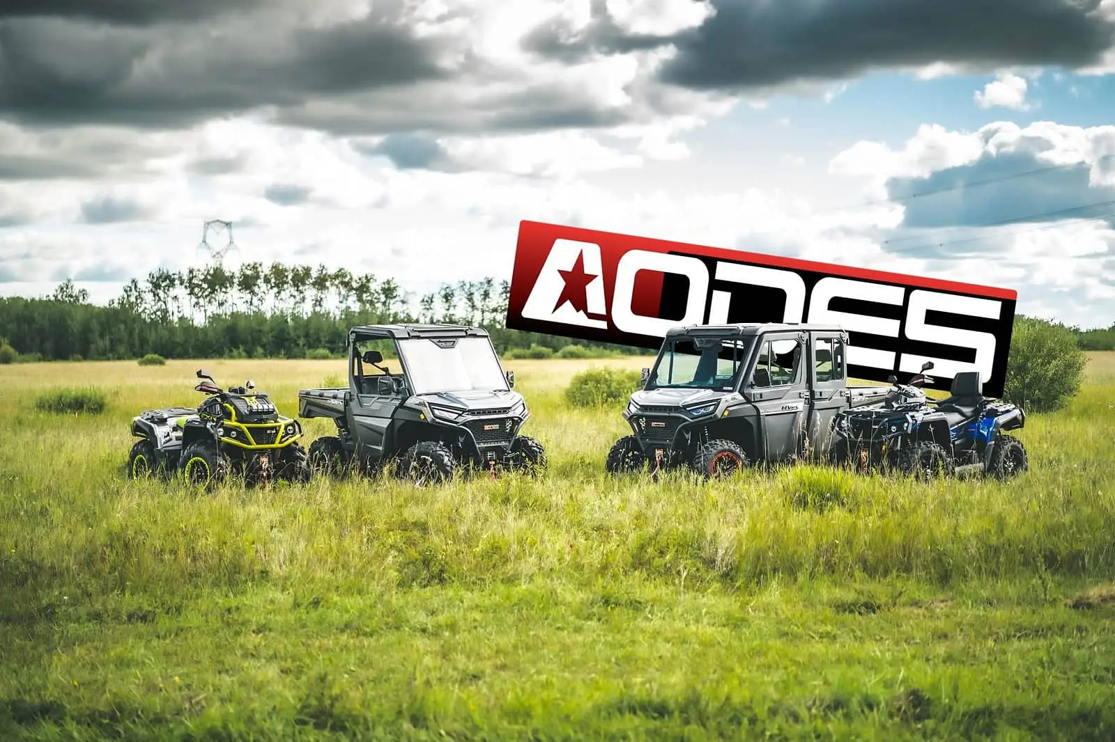 AODES 2025: PathCross, Workcross and AlpineCross in Canada
