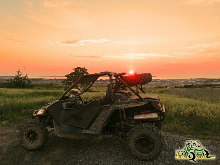 Arctic Cat Wildcat X Limited 2014