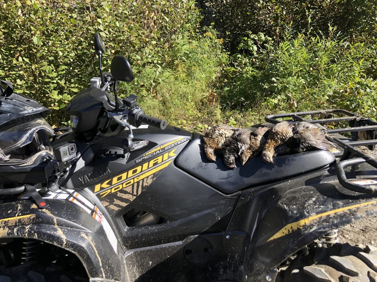 Avantage et Inconvénients des VTT à la chasse