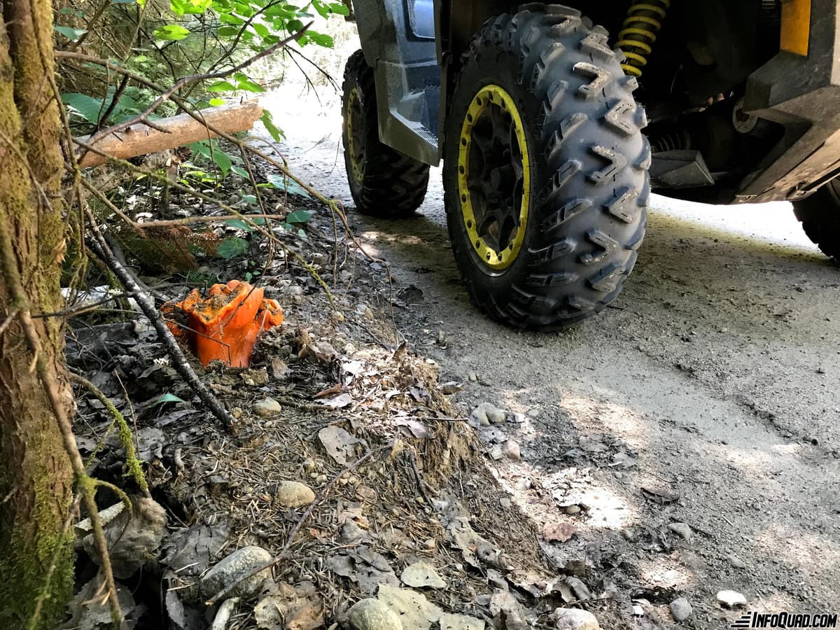 Taste the pleasures of the Quad: mycology on the trail