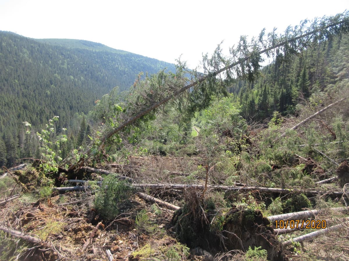 Glissement de terrain en Gaspésie
