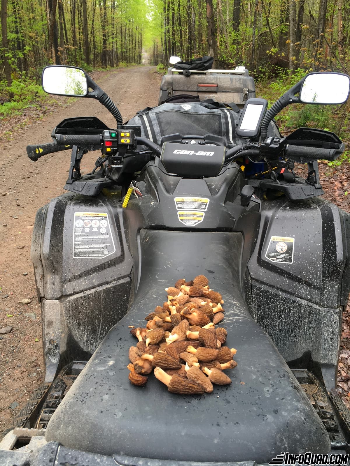 Goûter les plaisirs du Quad: la mycologie en sentier