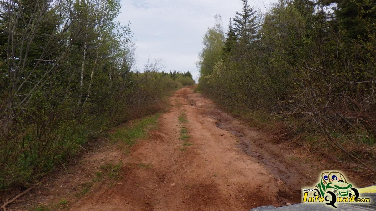 L’état des sentiers de votre club de quad ne vous convient pas… Que pouvez-vous faire?? - VTT - Quads - Quadistes L’état des sentiers de votre club de quad ne vous convient pas… Que pouvez-vous faire?? - VTT - Quads - Quadistes