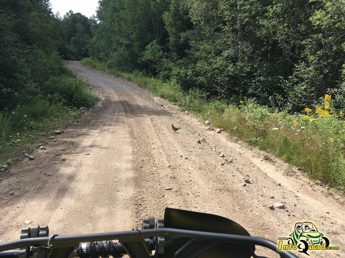 Entre Charlevoix et Saguenay - VTT - QUADISTES - QUADS Entre Charlevoix et Saguenay - VTT - QUADISTES - QUADS