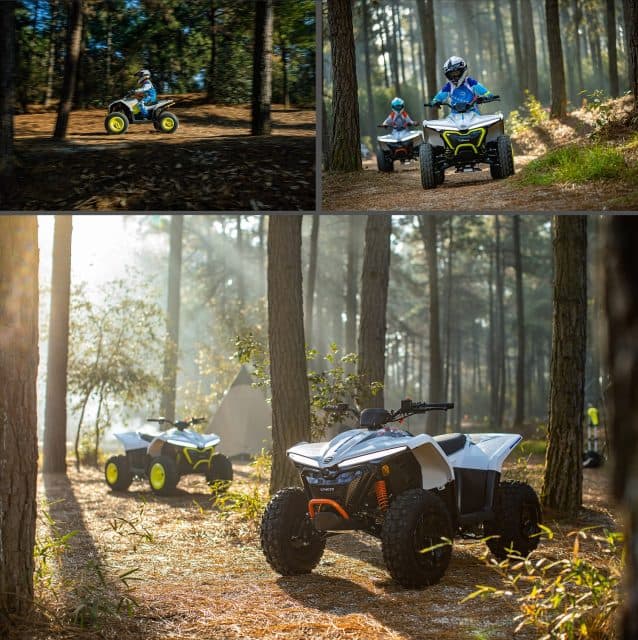 CFMOTO EV110