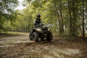 Arctic Cat 2021