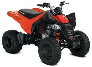 Can-Am-DS-250 2021