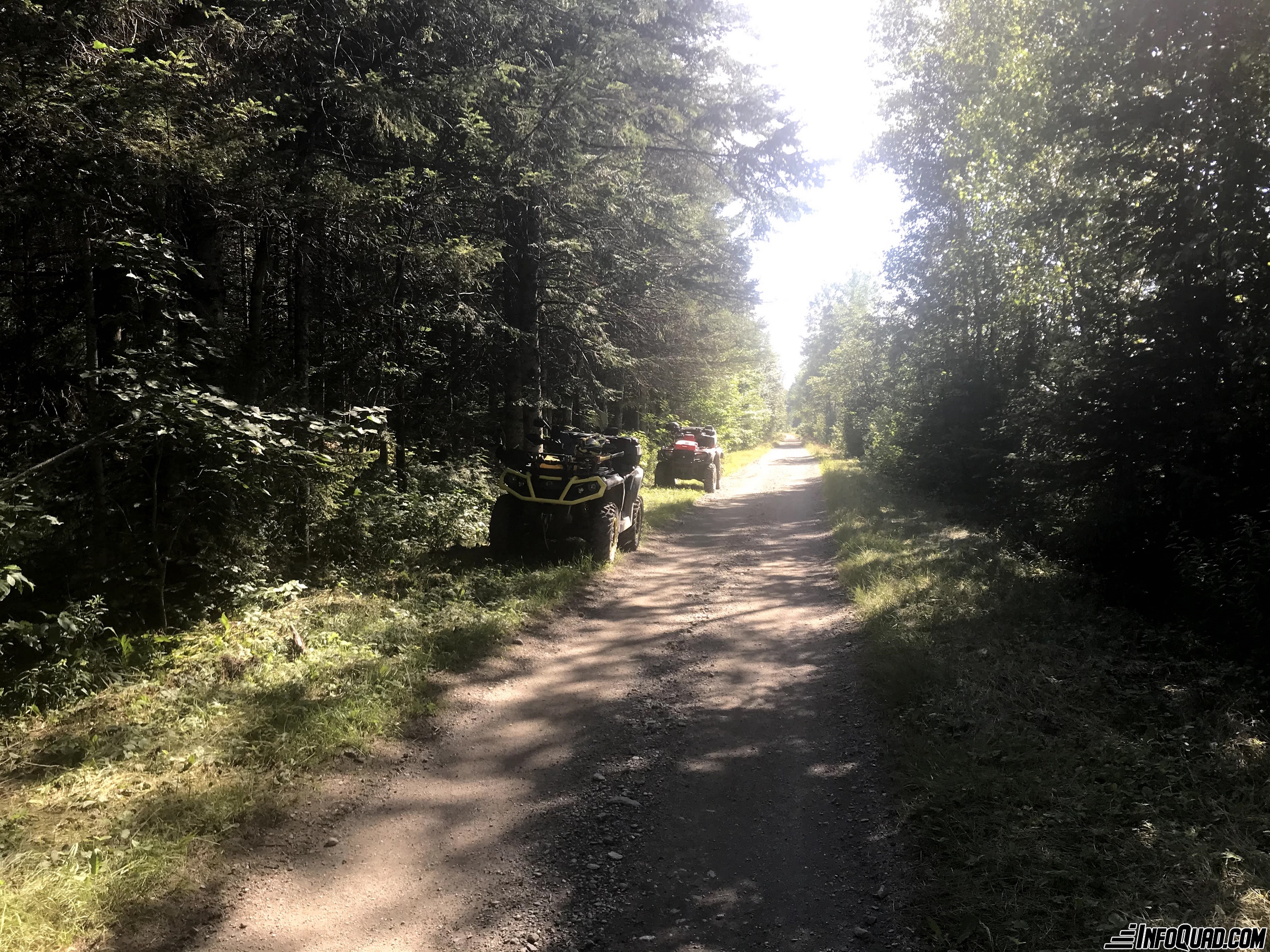 Taste the pleasures of the Quad: mycology on the trail