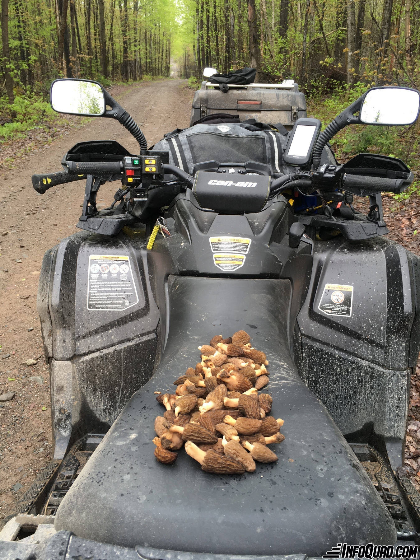 Taste the pleasures of the Quad: mycology on the trail