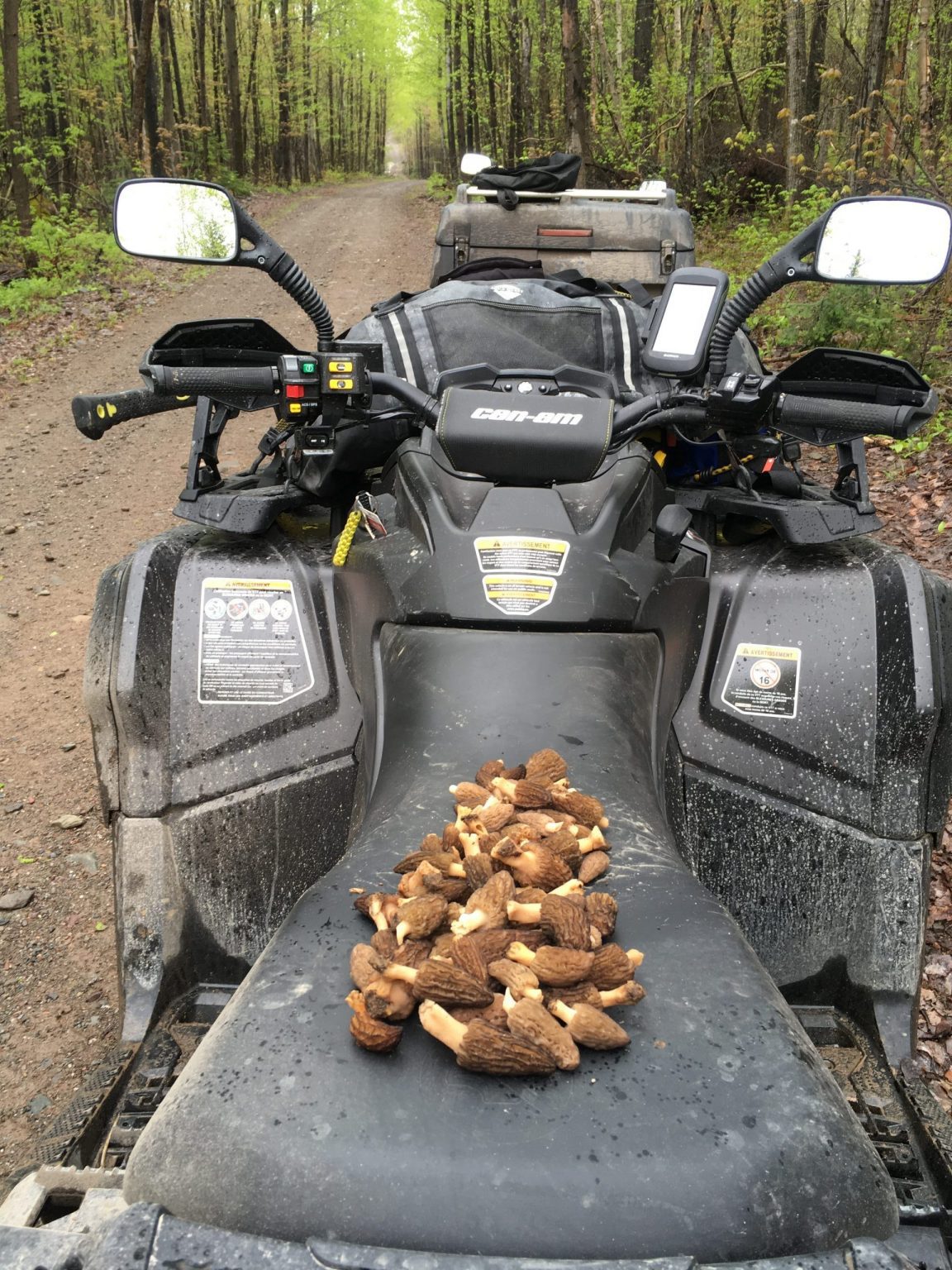 Goûter les plaisirs du Quad: la mycologie en sentier|Taste the pleasures of the Quad: mycology on the trail|Taste the pleasures of the Quad: mycology on the trail|Taste the pleasures of the Quad: mycology on the trail|Taste the pleasures of the Quad: mycology on the trail|Taste the pleasures of the Quad: mycology on the trail|Taste the pleasures of the Quad: mycology on the trail|Taste the pleasures of the Quad: mycology on the trail|Taste the pleasures of the Quad: mycology on the trail|Taste the pleasures of the Quad: mycology on the trail|Taste the pleasures of the Quad: mycology on the trail