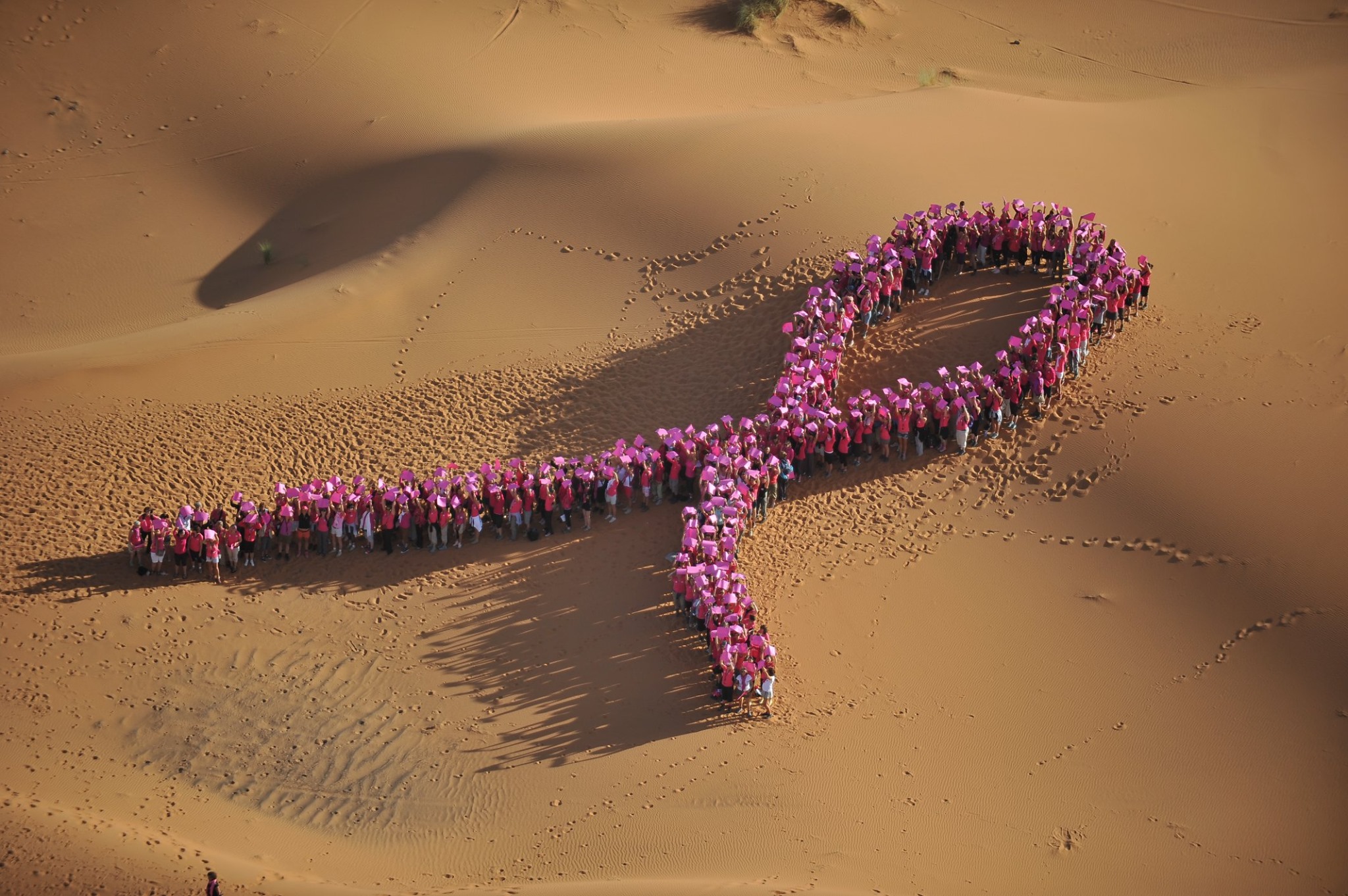 Trophée Roses des Sables  A solidarity rally made for women in Morocco