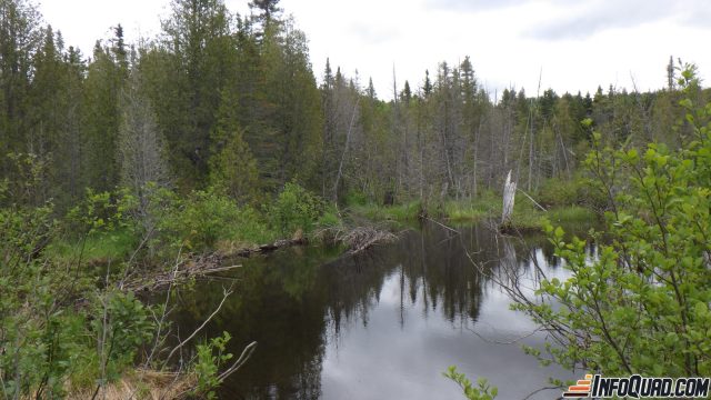 Jour 7: Tour de la Gaspésie en quad